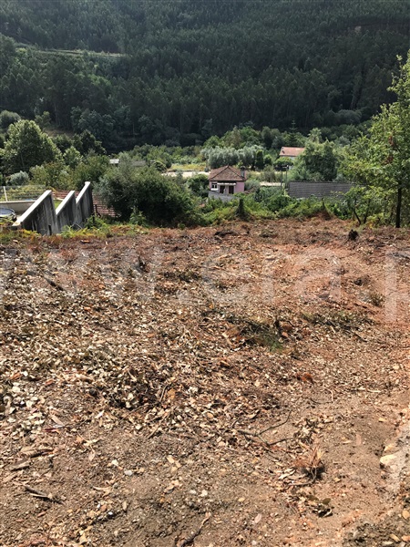 Terreno / Águeda, Carvoeiro