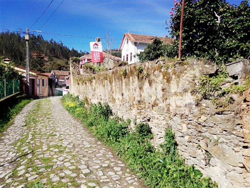 Terreno / Águeda, Carvoeiro