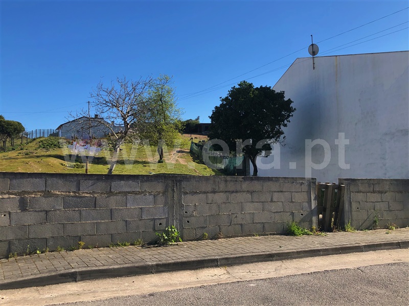 Terreno / Águeda, Fermentelos