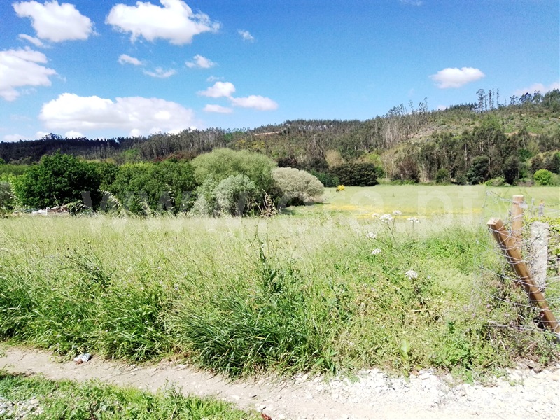 Azenha  Águeda, Trofa, Segadães e Lamas do Vouga - 1243072 - 2