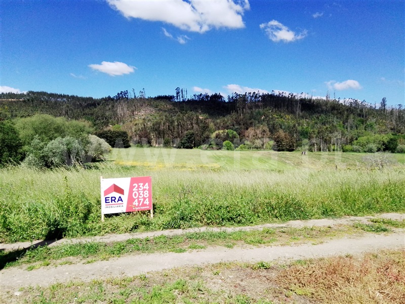 Terreno / Águeda, Lamas do Vouga