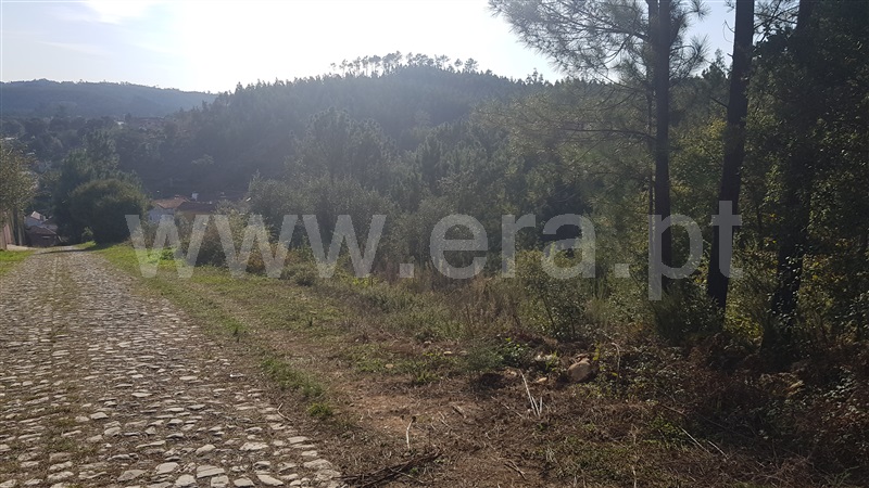 Terreno / Águeda, Macinhata do Vouga