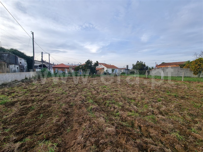 Terreno  Águeda, Mourisca - 1453813 - 1