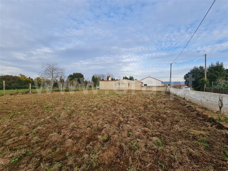 Terreno  Águeda, Mourisca - 1453813 - 2