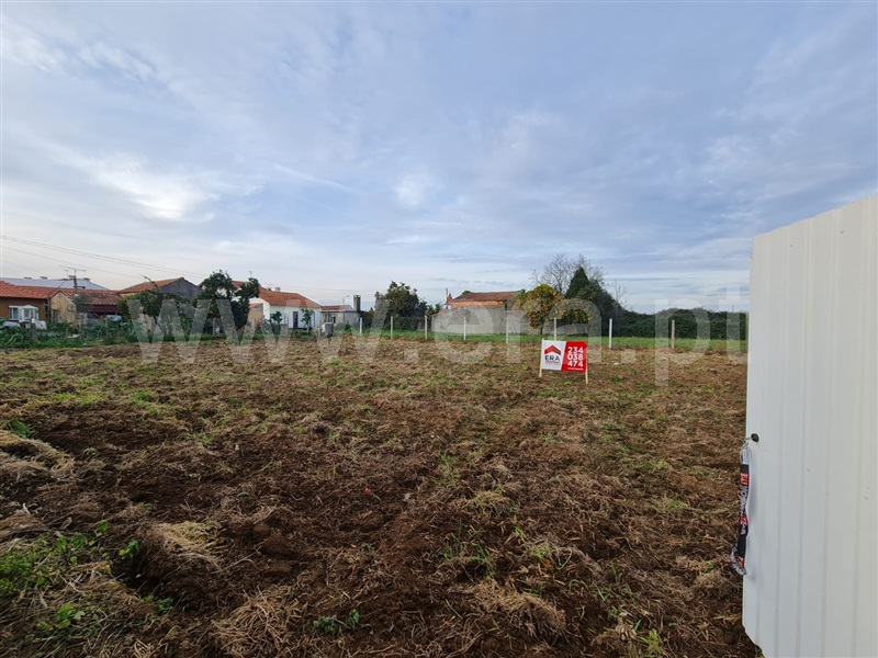 Terreno / Águeda, Mourisca