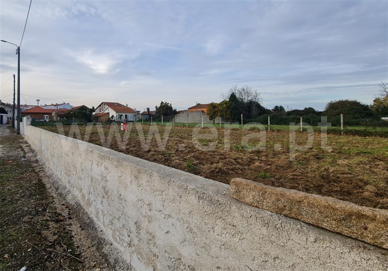 Terreno  Águeda, Mourisca - 1453813 - 4
