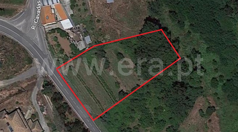 Terreno / Águeda, Recardães e Espinhel