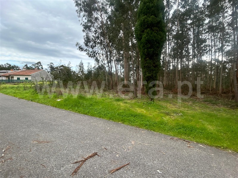 Terreno / Águeda, Recardães e Espinhel