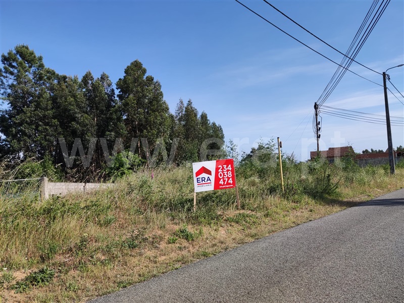 Terreno / Águeda, Recardães