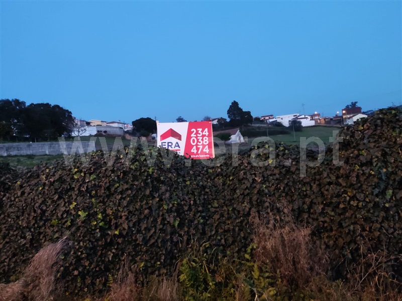 Terreno / Águeda, Segadães