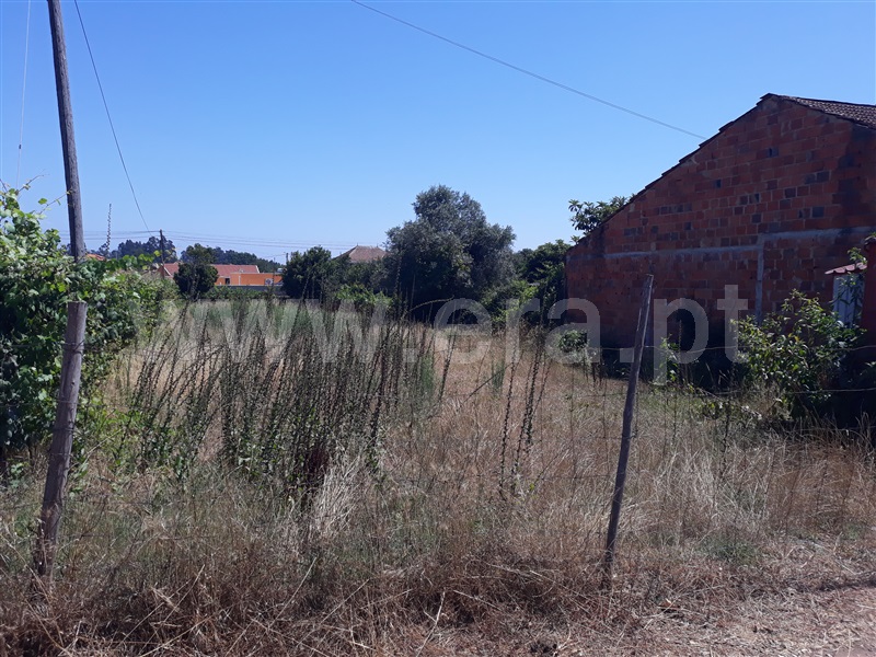 Terreno / Águeda, Travassô