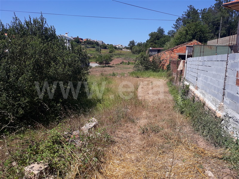 Terreno / Águeda, Travassô