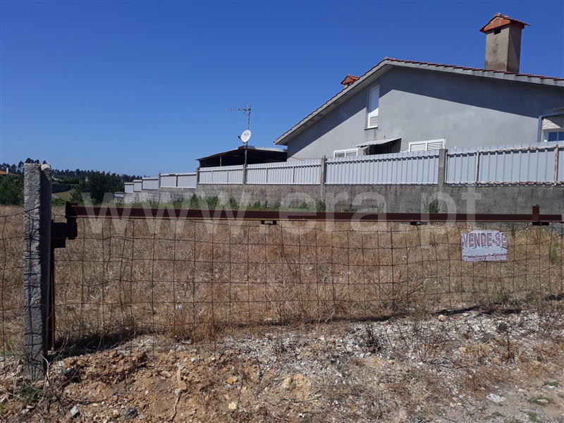 Terreno / Águeda, Travassô