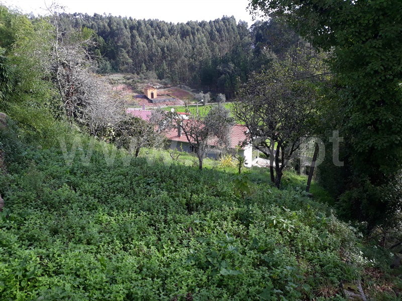 Terreno / Águeda, Travassô