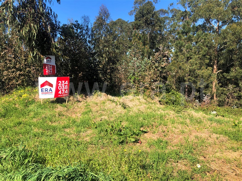Terreno / Águeda, Travassô