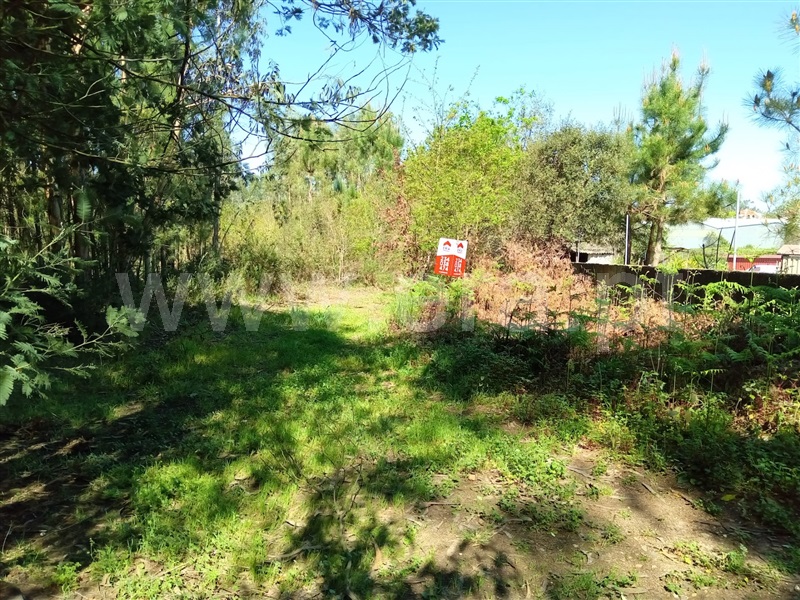 Terreno  Águeda, Travassô e Óis da Ribeira - 1236573 - 2