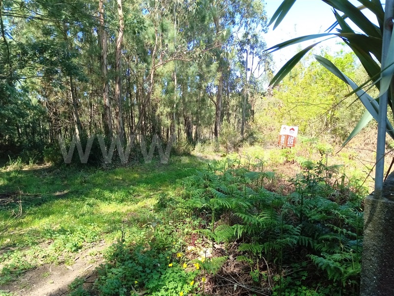 Terreno  Águeda, Travassô e Óis da Ribeira - 1236573 - 3