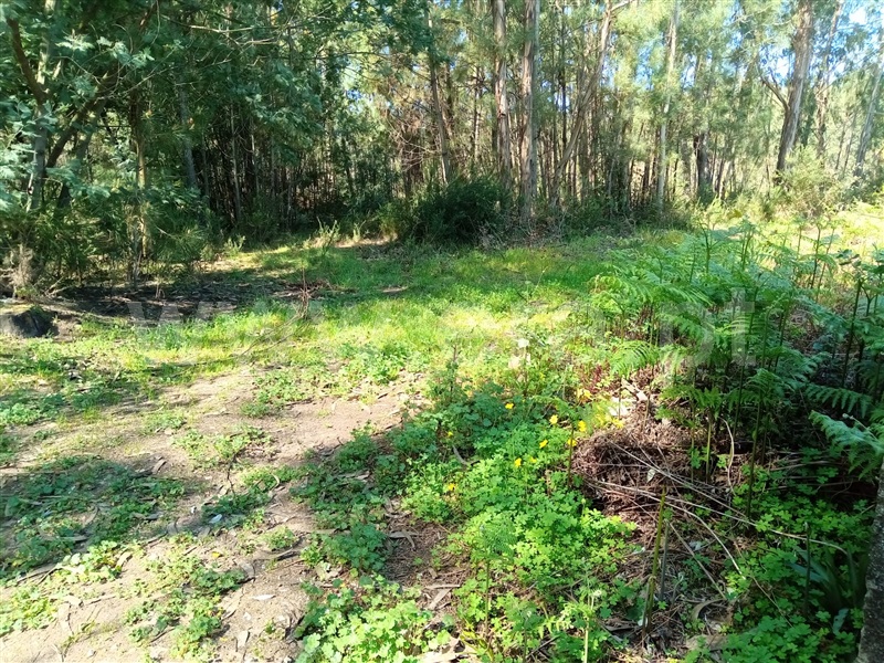 Terreno  Águeda, Travassô e Óis da Ribeira - 1236573 - 4