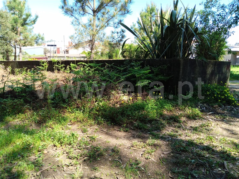 Terreno  Águeda, Travassô e Óis da Ribeira - 1236573 - 5
