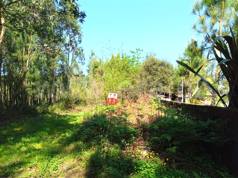 Terreno  Águeda, Travassô e Óis da Ribeira - 1236573 - 6