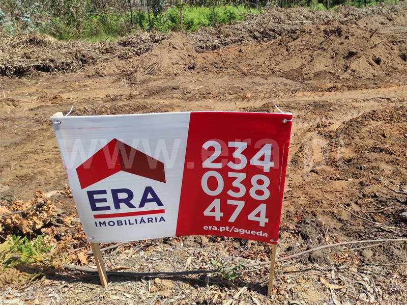 Terreno / Águeda, Trofa