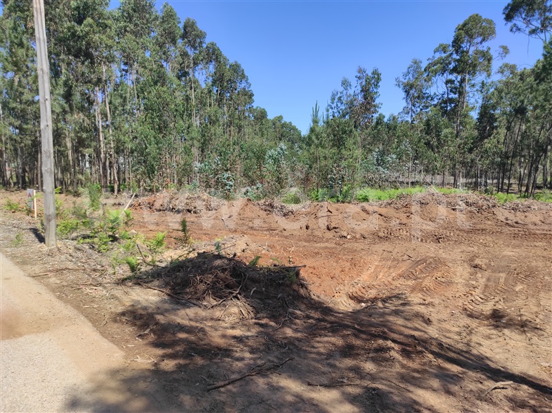Terreno  Águeda, Trofa - 1174537 - 5
