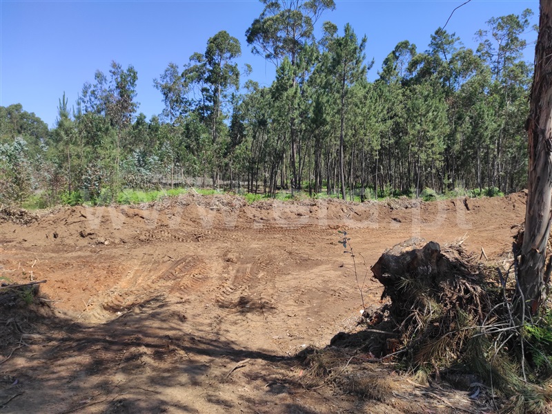 Terreno  Águeda, Trofa - 1174537 - 6