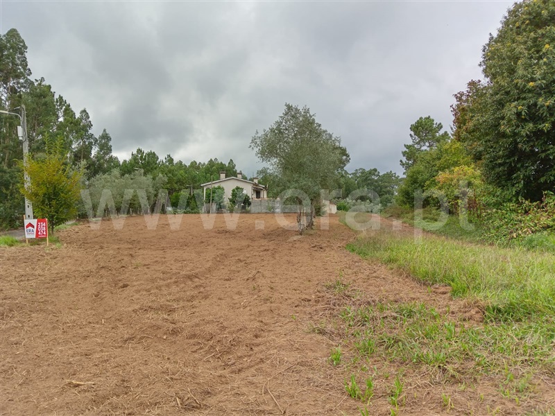 Terreno / Águeda, Trofa