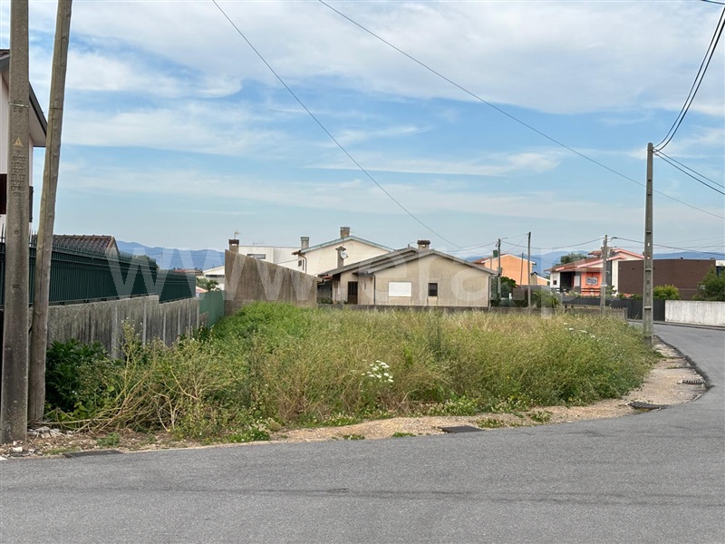Terreno / Águeda, Trofa