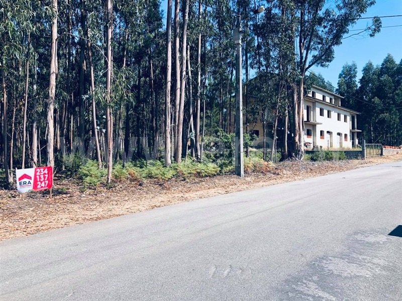 Terreno / Águeda, Vale Domingos