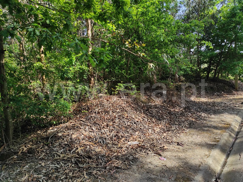 Terreno  Águeda, Vale Domingos - 1162235 - 3