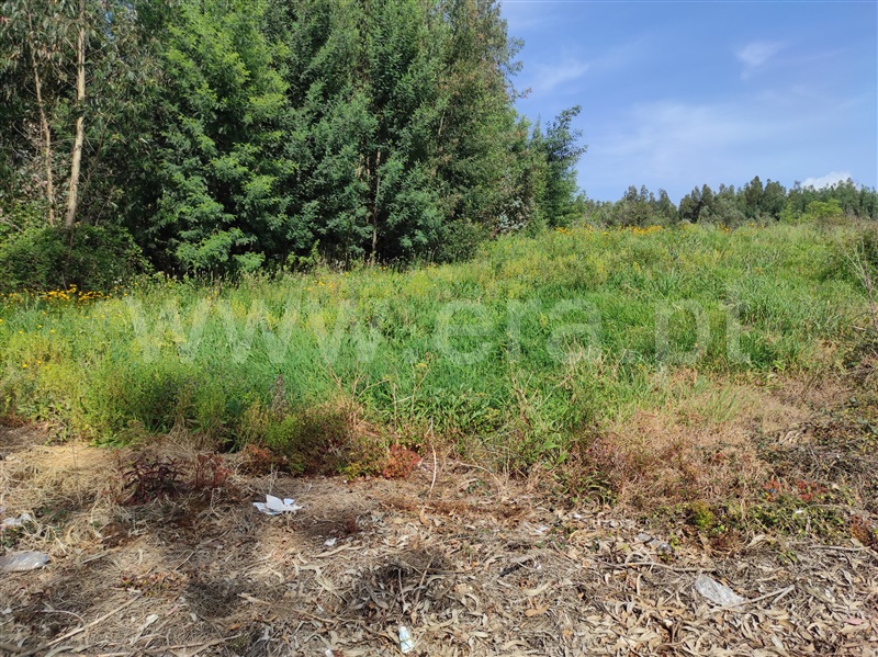 Terreno  Águeda, Vale Domingos - 1162235 - 4