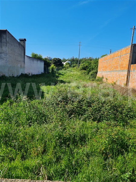Terreno  Águeda, Vale Domingos - 1166577 - 3