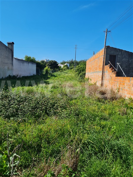 Terreno  Águeda, Vale Domingos - 1166577 - 4