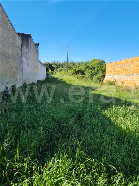 Terreno  Águeda, Vale Domingos - 1166577 - 6
