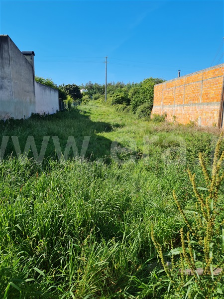Terreno  Águeda, Vale Domingos - 1166577 - 7
