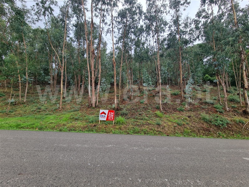 Terreno / Águeda, Valongo do Vouga