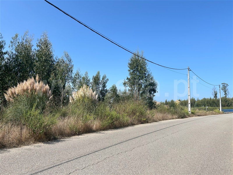 Terreno / Albergaria-a-Velha, Albergaria-a-Velha e Valmaior