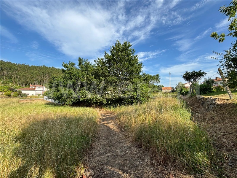 Terreno  Albergaria-a-Velha, Albergaria-a-Velha - 1412060 - 3