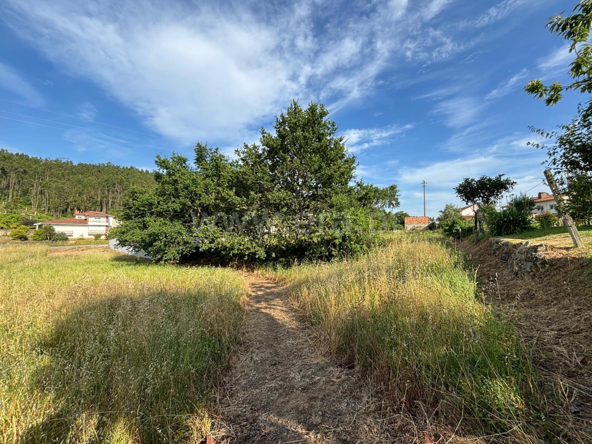 Land for sale in Albergaria-a-Velha, Portugal — €55,000
