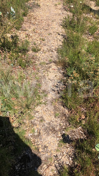 Terreno  Albergaria-a-Velha, Angeja - 1247586 - 8