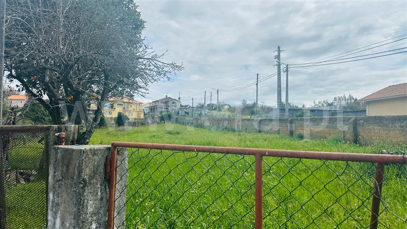 Terreno  Albergaria-a-Velha, Angeja - 1470339 - 3