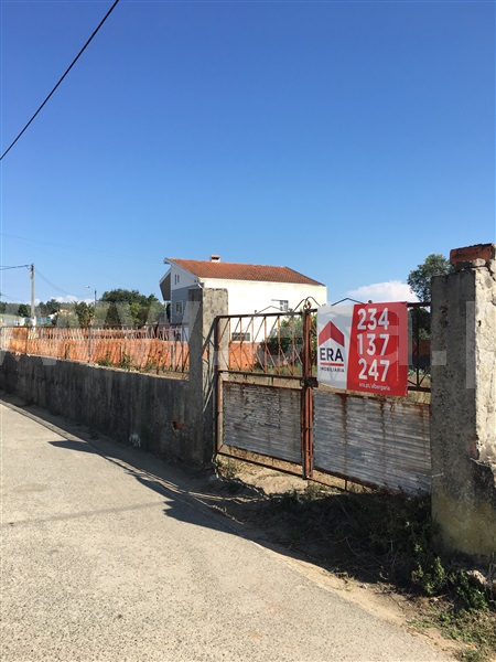 Terreno / Albergaria-a-Velha, Angeja
