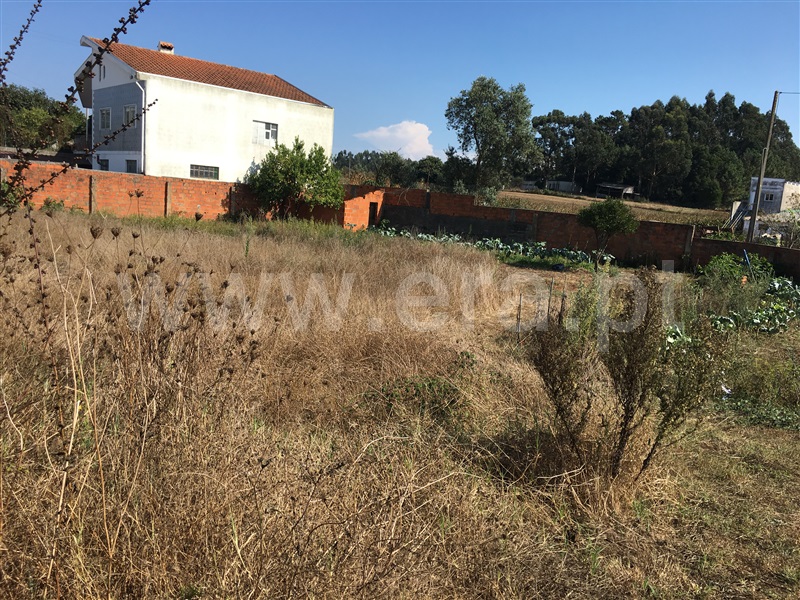 Terreno  Albergaria-a-Velha, Angeja - 944060 - 2
