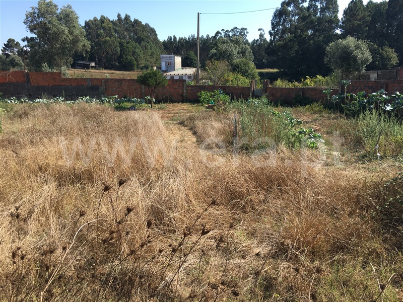 Terreno  Albergaria-a-Velha, Angeja - 944060 - 3