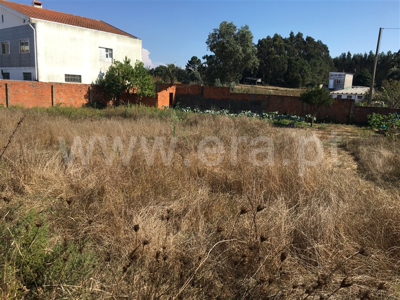 Terreno  Albergaria-a-Velha, Angeja - 944060 - 4