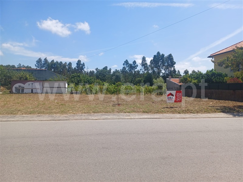 Terreno  Albergaria-a-Velha, Angeja - 976050 - 6