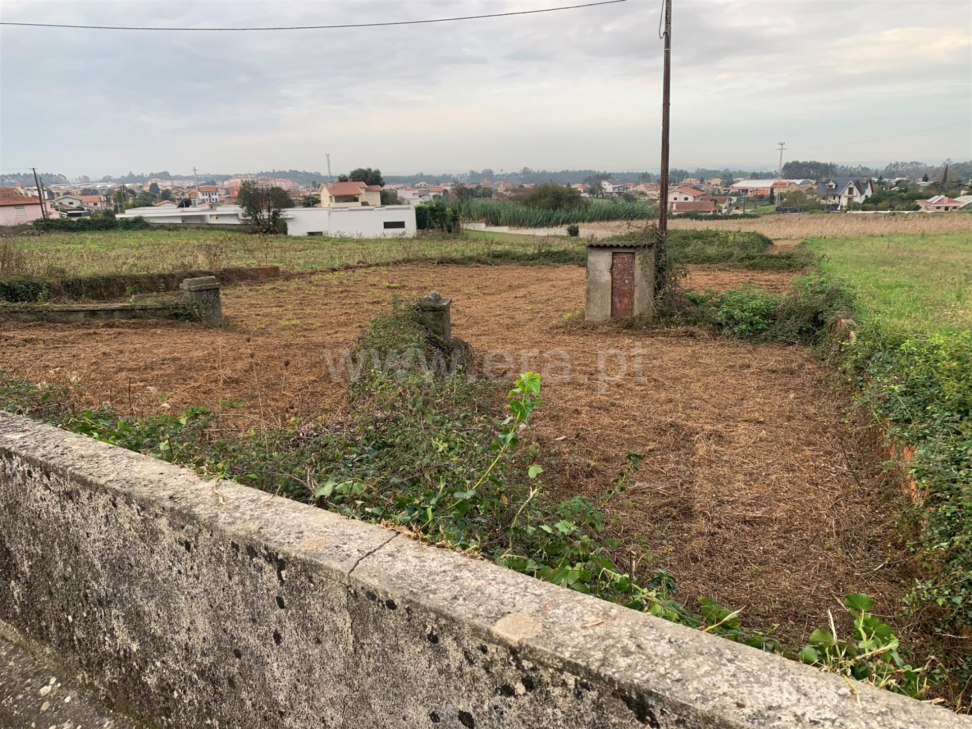 Land for sale in Albergaria-a-Velha, Portugal — €68,700