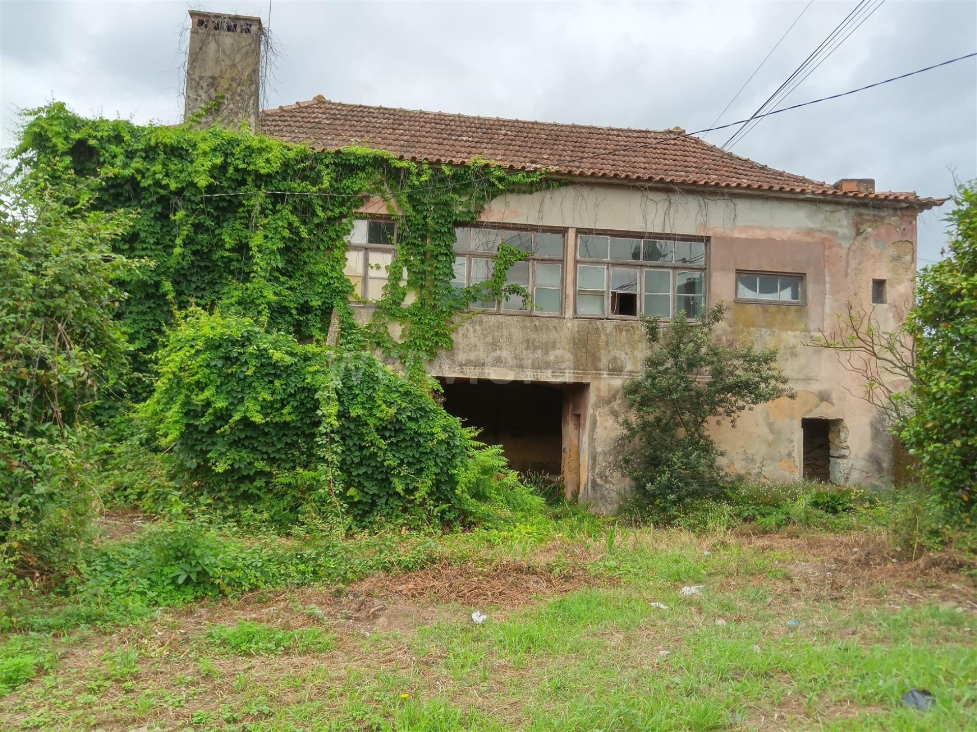 Land for sale in Albergaria-a-Velha, Portugal — €620,000