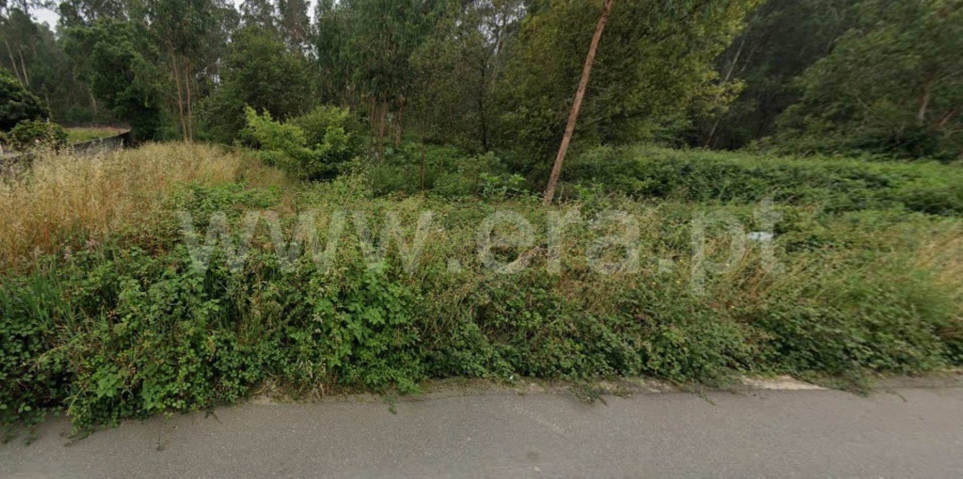 Land for sale in Albergaria-a-Velha, Portugal — €58,700